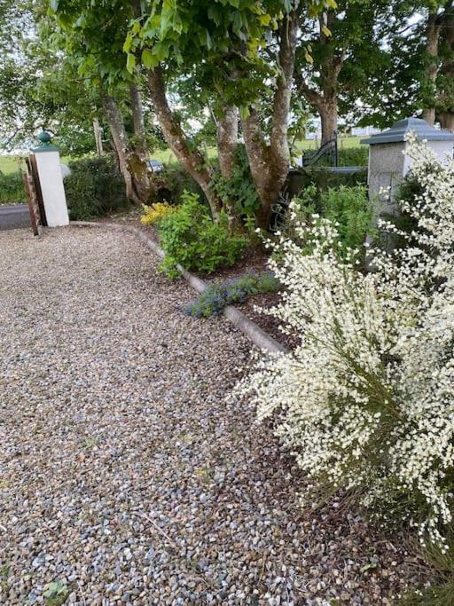 Breathnach Cottage Annex Knockleagha Ballina F26 D7E2 Buitenkant foto