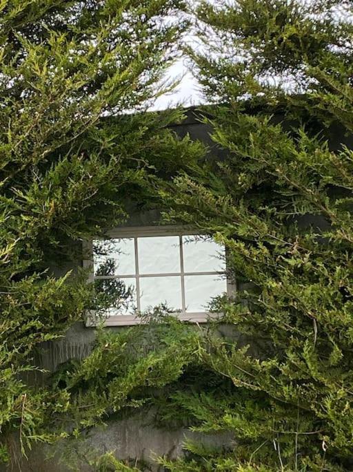 Breathnach Cottage Annex Knockleagha Ballina F26 D7E2 Buitenkant foto